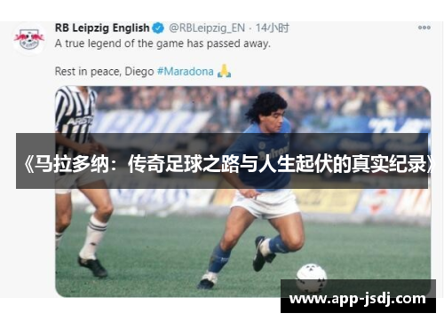 《马拉多纳：传奇足球之路与人生起伏的真实纪录》