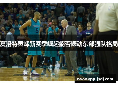 夏洛特黄蜂新赛季崛起能否撼动东部强队格局 夏洛特黄蜂新赛季崛起能否撼动东部强队格局